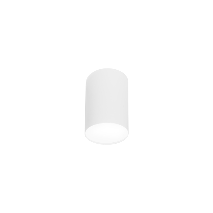 Nowodvorski POINT PLEXI L Spot Natynkowa Max moc 1x20W E27  Biały 6528