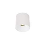 Nowodvorski CL IOS LED 20W 4000K ANGLE 60 Oświetlenie komercyjne Spot lampy LED Natynkowa Max moc 1x20W LED  Biały 8743