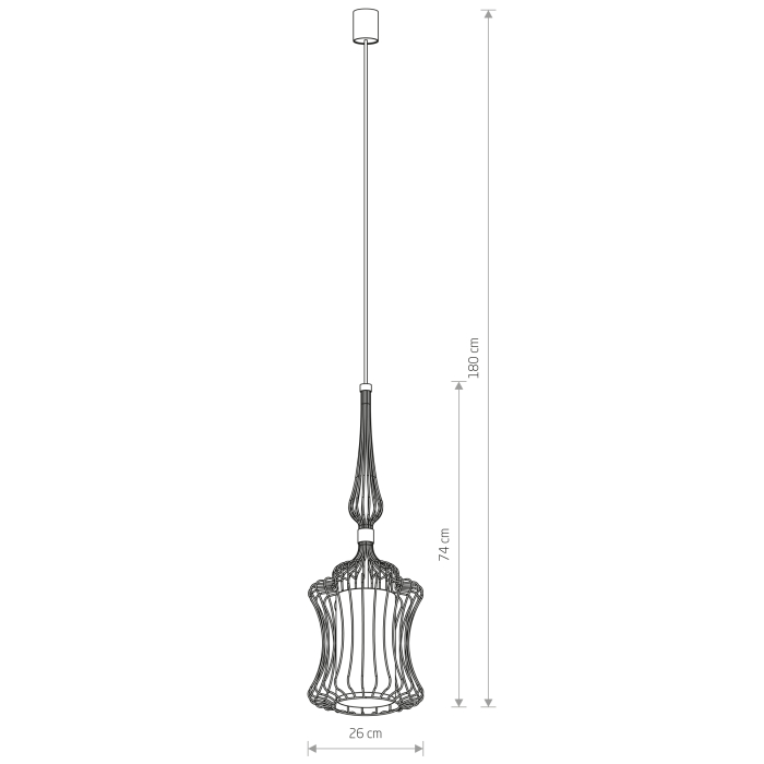 Nowodvorski ABI S Sufitowa Wisząca Max moc 1x40W E27  Czarny 8870