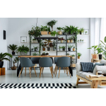 Nowodvorski PLANT Sufitowa Wisząca Max moc 4x35W GU10  Czarny 9381
