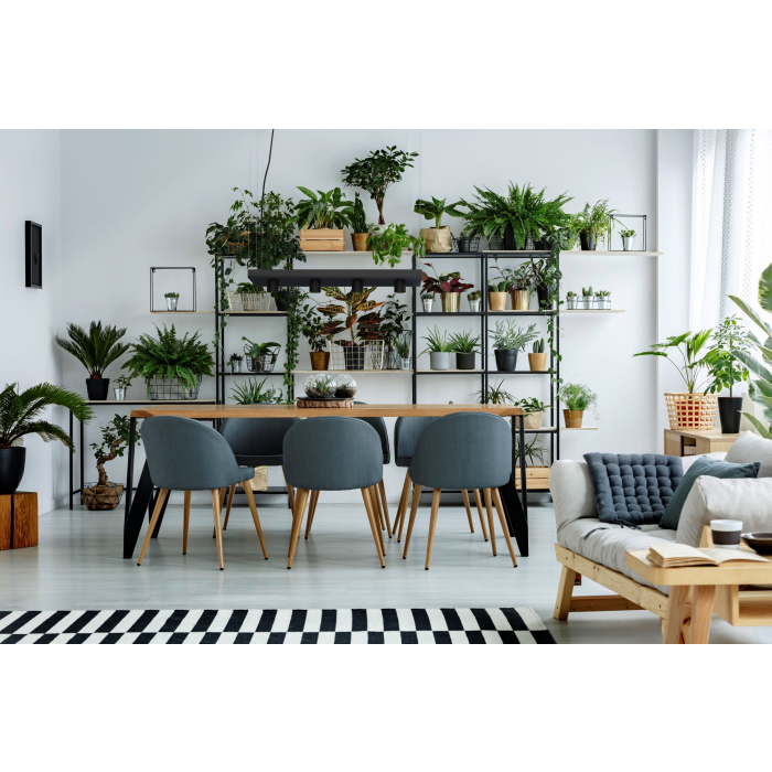 Nowodvorski PLANT Sufitowa Wisząca Max moc 4x35W GU10  Czarny 9381