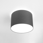 Nowodvorski CAMERON Sufitowa Plafon Max moc 3x25W only LED E27  Szary 9683