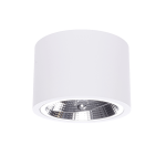 Light Prestige Camino oprawa natynkowa biała LP-1101/1SM WH 1xQR111 biały