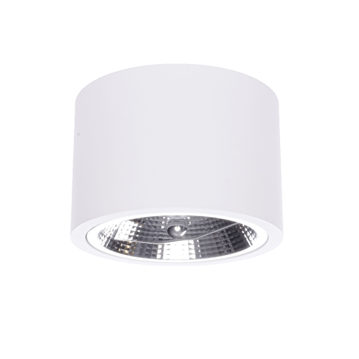 Light Prestige Camino oprawa natynkowa biała LP-1101/1SM WH 1xQR111 biały
