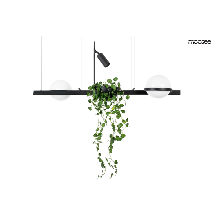 Moosee MOOSEE lampa wisząca PLANT czarna (MSE010100156)