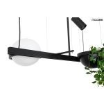 Moosee MOOSEE lampa wisząca PLANT czarna (MSE010100156)