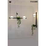 Moosee MOOSEE lampa wisząca PLANT czarna (MSE010100156)