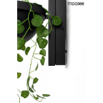 Moosee MOOSEE lampa ścienna PLANT WALL czarna (MSE010400222)