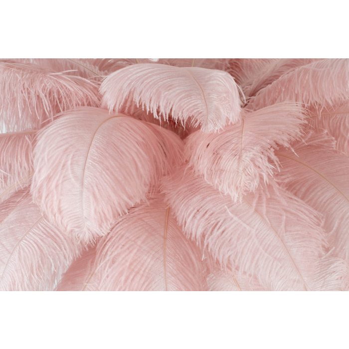 King Home Lampa podłogowa TIFFANY 175 różowa mosiądz / naturalne pióra (JL0019.PINK)