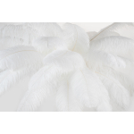 King Home Lampa podłogowa TIFFANY 175 biała  mosiądz / naturalne pióra (JL0019.WHITE)