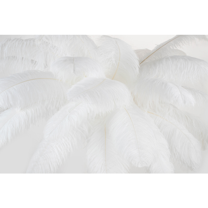King Home Lampa podłogowa TIFFANY 175 biała  mosiądz / naturalne pióra (JL0019.WHITE)