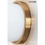 MOOSEE lampa ścienna ROSA transparentna (MSE010100267)