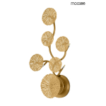 MOOSEE lampa ścienna LIRIO 6 złota (MSE1501100179)