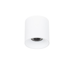 Italux Altisma Natynkowa Biały mat 1xLED 15W 3000K CLN-6677-95-WH-3K