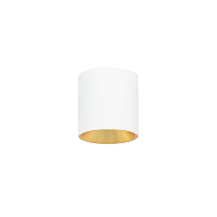Italux Altisma Natynkowa Biały mat, złoty wewnątrz 1xLED 10W 3000K CLN-6677-75-WH-GD-3K