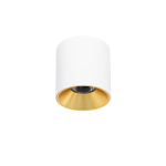 Italux Altisma Natynkowa Biały mat, złoty wewnątrz 1xLED 15W 3000K CLN-6677-95-WH-GD-3K
