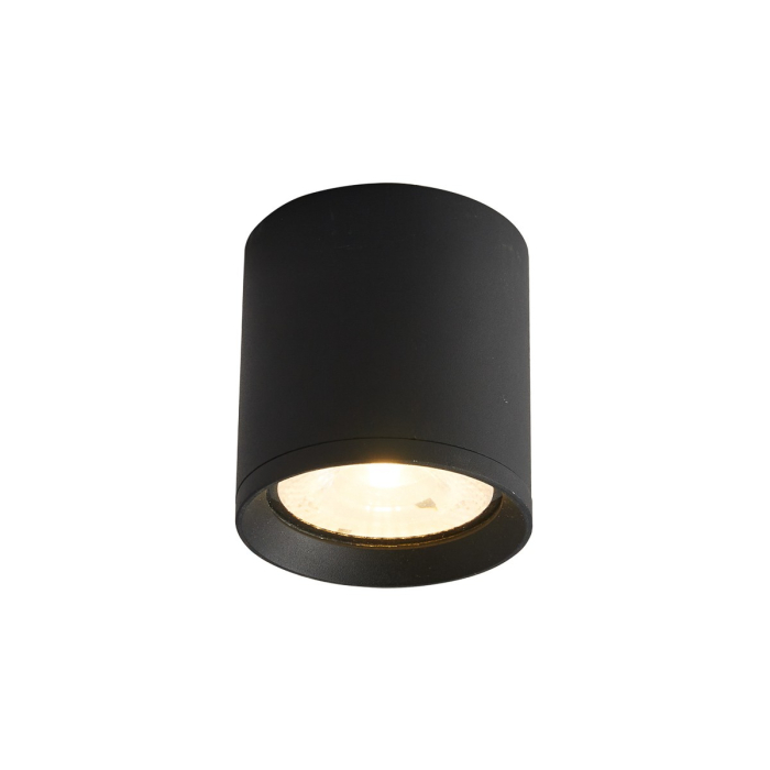 Italux Cervia 3K Zewnętrzna Natynkowa Czarny piaskowany IP54 1xLED 15W 3000K OPN-2007-3K