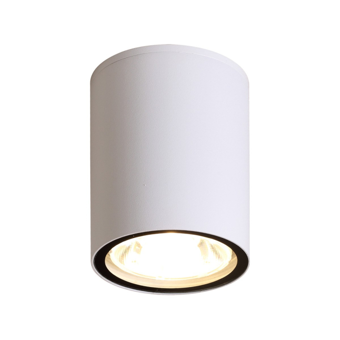Italux Fano 3K Zewnętrzna Natynkowa Biały piaskowany IP54 1xLED 6W 3000K OPN-2006-3K