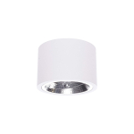 Light Prestige Camino oprawa natynkowa biała LP-1101/1SM WH 1xQR111 biały