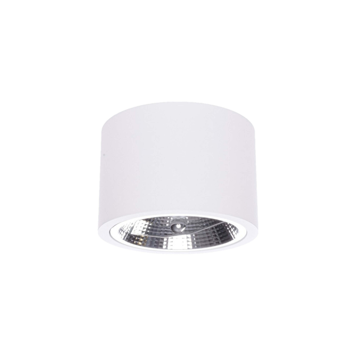 Light Prestige Camino oprawa natynkowa biała LP-1101/1SM WH 1xQR111 biały