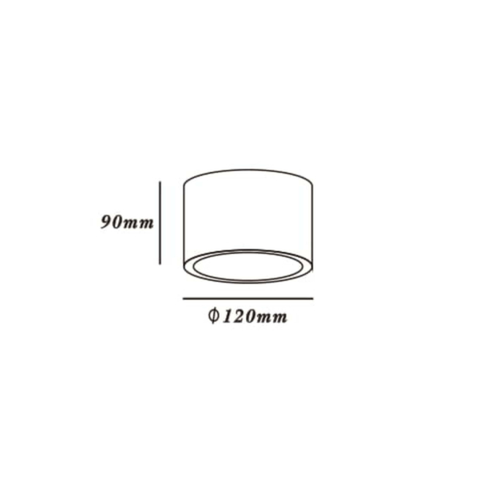 Light Prestige Camino oprawa natynkowa biała LP-1101/1SM WH 1xQR111 biały