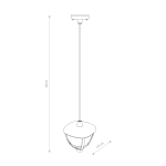 Nowodvorski AMELIA BL CG Zewnętrzna  Sufitowa Wisząca Max moc 10W only LED E27 Czarny 10496
