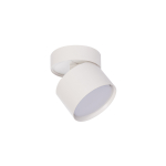 Light Prestige Kendal oprawa natynkowa 1 x GX53 biała LP-6331/1SM WH movable