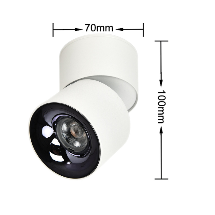 Light Prestige Ruchoma oprawa natynkowa Brema biała LED CCT LP-2626/1RM WH movable